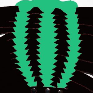 Green & Black Women's Treads