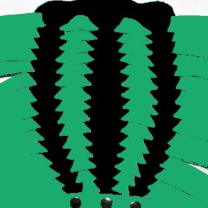 Black  & Green Men's Treads